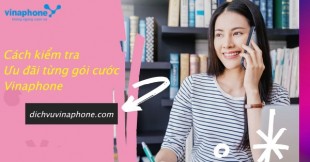 cach-kiem-tra-uu-dai-tung-goi-cuoc-Vinaphone