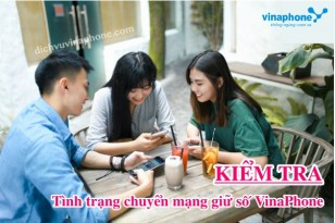 kiem-tra-tinh-trang-chuyen-mang-giu-so-Vinaphone