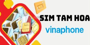 sim-tam-hoa-vinaphone