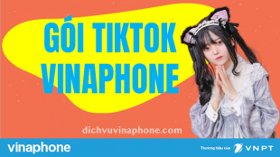 Cach-dang-ky-goi-data-tiktok-vinaphone