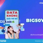 dang-ky-goi-BIG50Y-Vinaphone