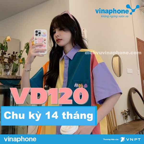 Dang-ky-goi-cuoc-VD120-14-tháng-Vinaphone