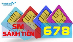 Sim sảnh tiến 678