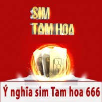 Ý nghĩa sim Tam hoa 666
