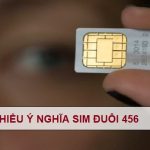 tim-hieu-y-nghia-sim-duoi-456
