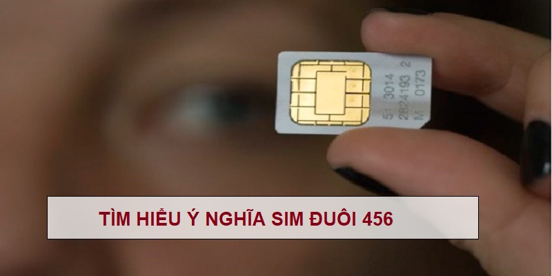 tim-hieu-y-nghia-sim-duoi-456