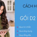 Các cách hủy gói cước D2 Vinaphone hiện nay