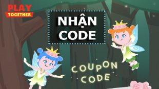 Code game Play Together VNG là gì