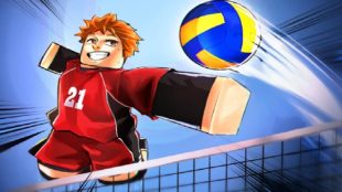 code-volleyball-legends