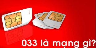 dau-so-033-la-mang-gi