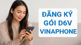 dang-ky-goi-d6v-vinaphone
