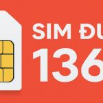 y-nghia-sim-duoi-1368