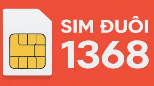 y-nghia-sim-duoi-1368