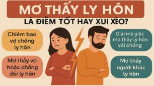 giai-ma-giac-mo-thay-ly-hon-tot-hay-xui