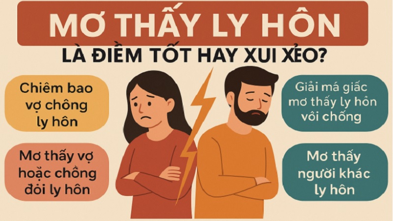 giai-ma-giac-mo-thay-ly-hon-tot-hay-xui