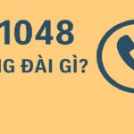 0241048-la-tong-dai-gi-1
