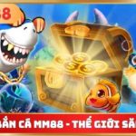 ban-ca-mm8-2