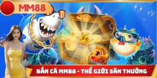 ban-ca-mm8-2