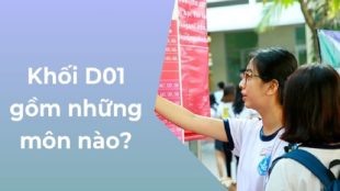 d01-gom-nhung-mon-nao-cach-tinh-diem-1