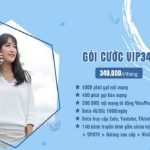 dang-ky-goi-cuoc-vip349-vinaphone