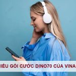 dang-ky-goi-dino70-vinaphone-1