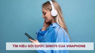 dang-ky-goi-dino70-vinaphone-1