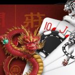 rong-ho-vipwin-3