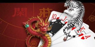 rong-ho-vipwin-3