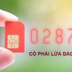 0287-co-phai-so-lua-dao-khong