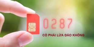0287-co-phai-so-lua-dao-khong