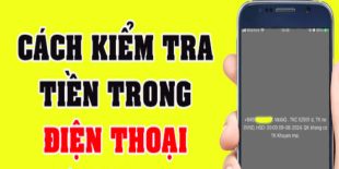 kiem-tra-tien-dien-thoai-vinaphone-2