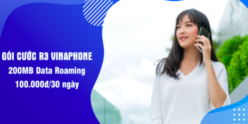 roaming-vinaphone-2
