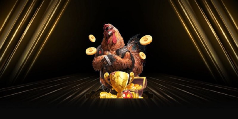 da-ga-go88-2025-thu-vui-dinh-1