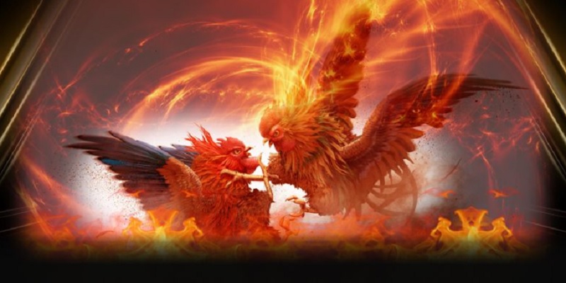 da-ga-go88-2025-thu-vui-dinh-2