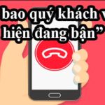 thue-bao-quy-khach-vua-goi-hien-dang-ban-2