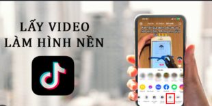 cach-dung-video-tiktok-lam-hinh-nen-dien-thoai-2