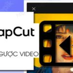 cach-tua-nguoc-video-tren-capcut-1