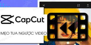 cach-tua-nguoc-video-tren-capcut-1
