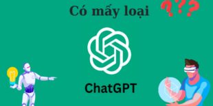 tai-khoan-chatgpt-co-may-loai-1