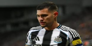 thong-tin-cau-thu-alex-murphy-2