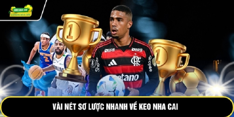 keo-nha-cai-phan-tich-tung-ty-le-1