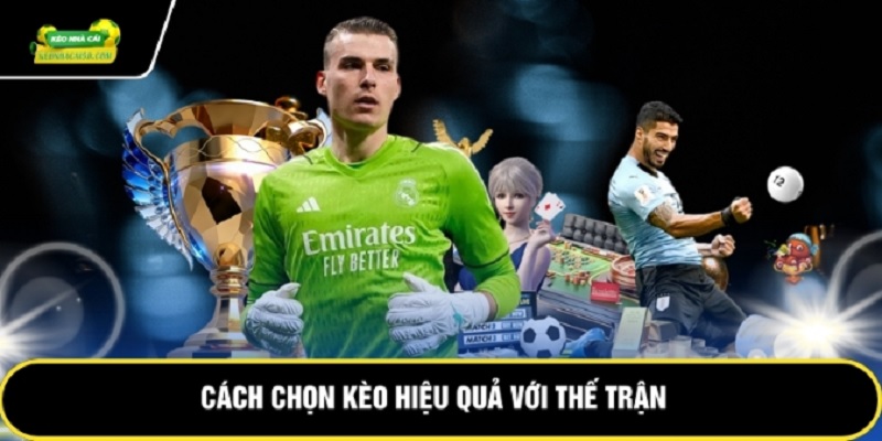 keo-nha-cai-phan-tich-tung-ty-le-3